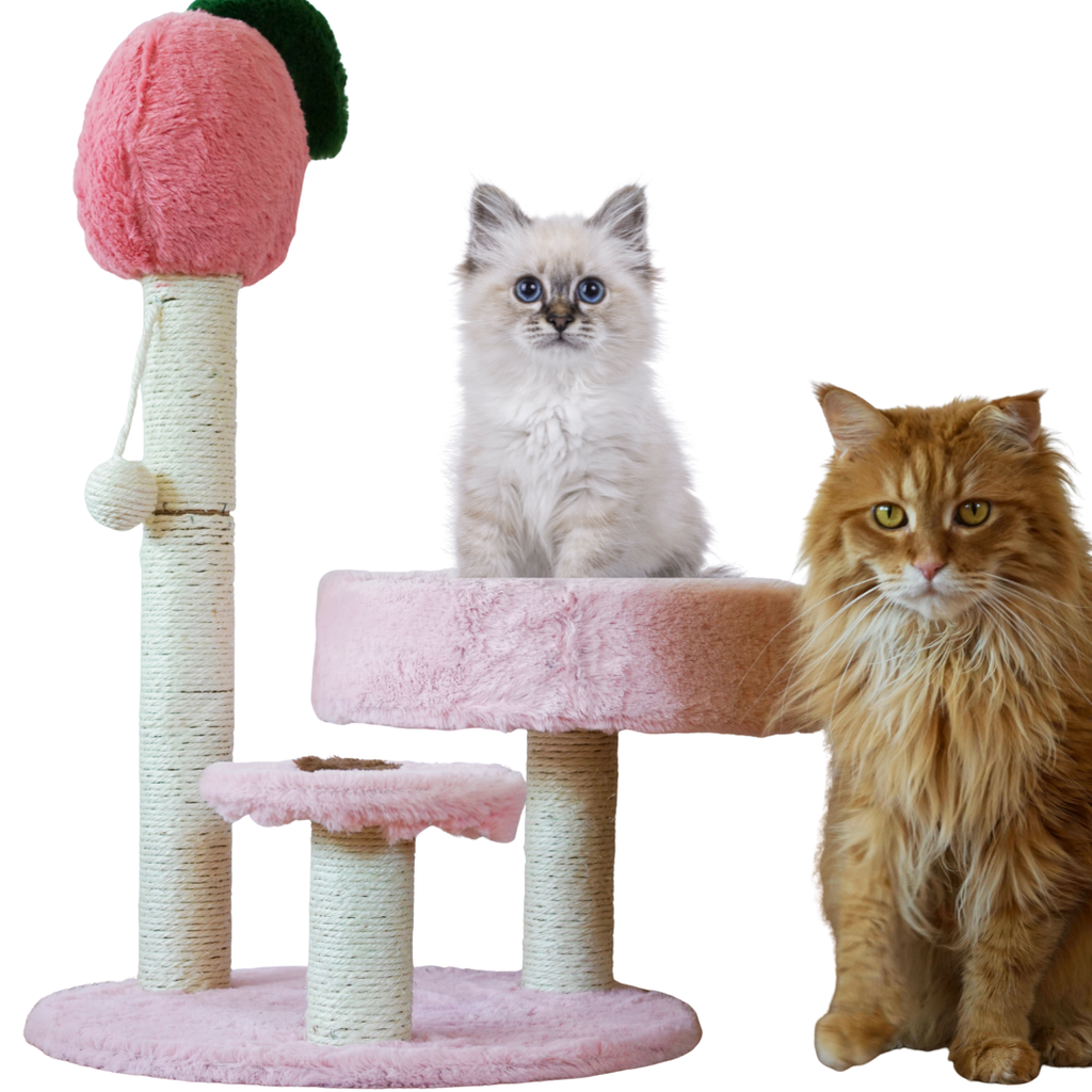 Katzenkratzbaum im niedlichen Design (Herz/Baum/Pfirsich) – Sisal-Säule, Pompom-Spielzeug & offenes Kuschelbett