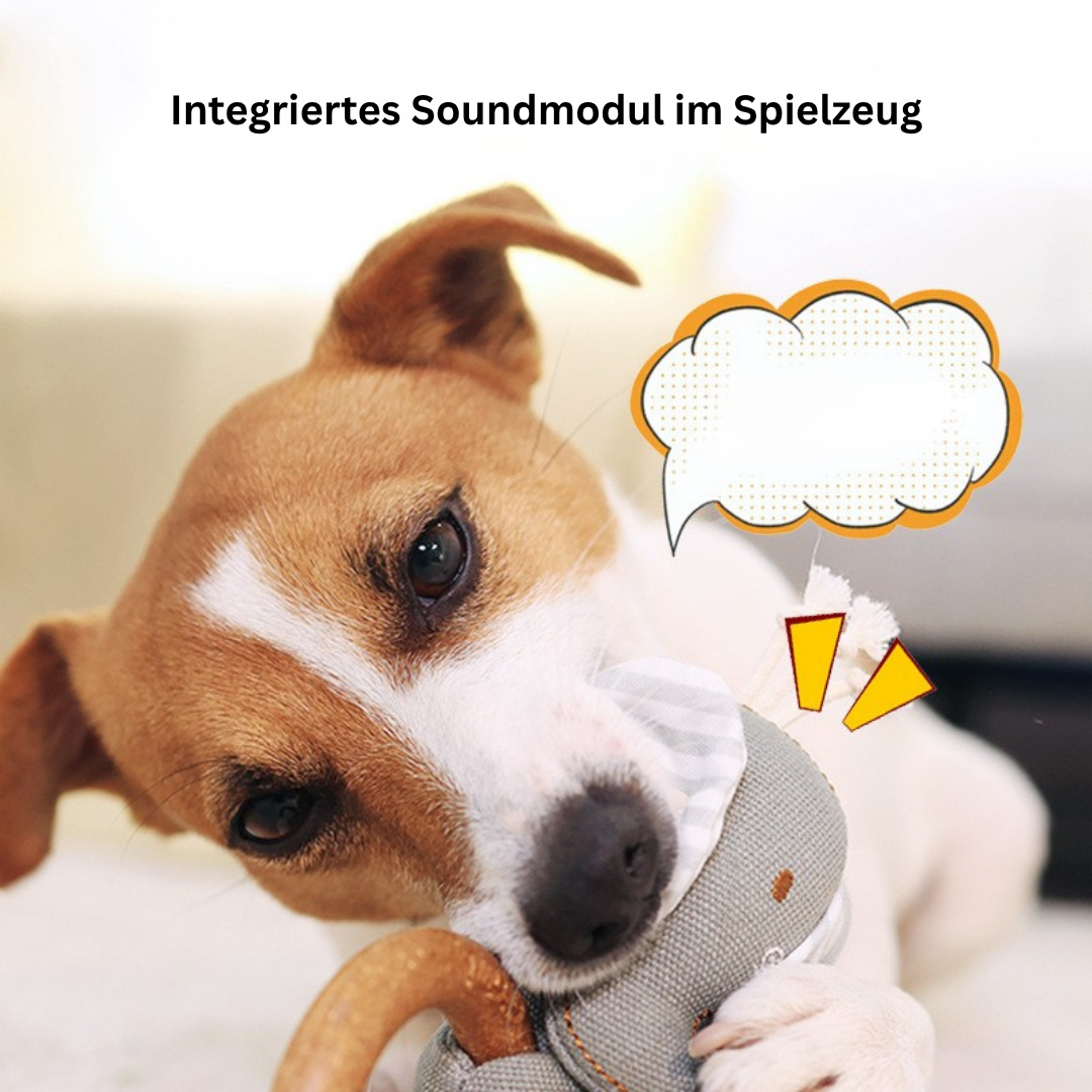 Hundespielzeug & Kauspielzeug mit Naturholz Ring | Für Hunde & Katzen | Momo und Kaki