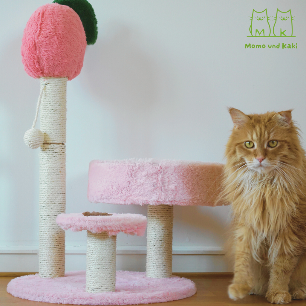 Katzenkratzbaum im niedlichen Design (Herz/Baum/Pfirsich) – Sisal-Säule, Pompom-Spielzeug & offenes Kuschelbett