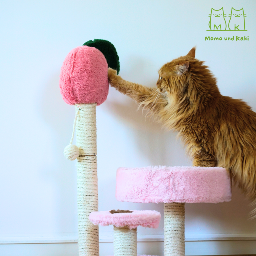 Katzenkratzbaum im niedlichen Design (Herz/Baum/Pfirsich) – Sisal-Säule, Pompom-Spielzeug & offenes Kuschelbett
