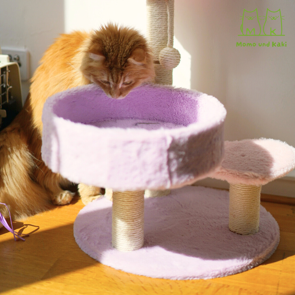Katzenkratzbaum im niedlichen Design (Herz/Baum/Pfirsich) – Sisal-Säule, Pompom-Spielzeug & offenes Kuschelbett