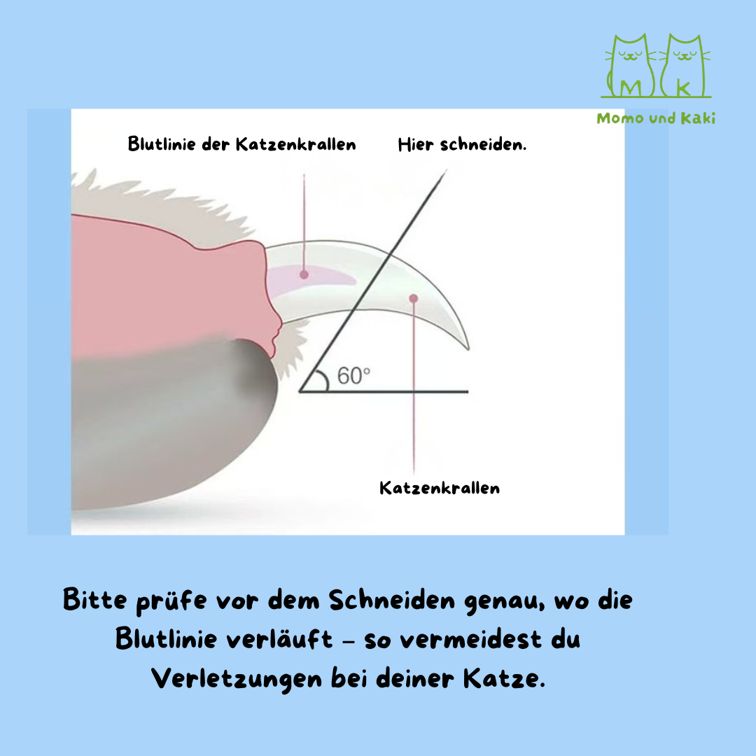 Krallenschere mit Spritzschutz: saubere Schnitte ohne Nagelspäne, ergonomischer Griff