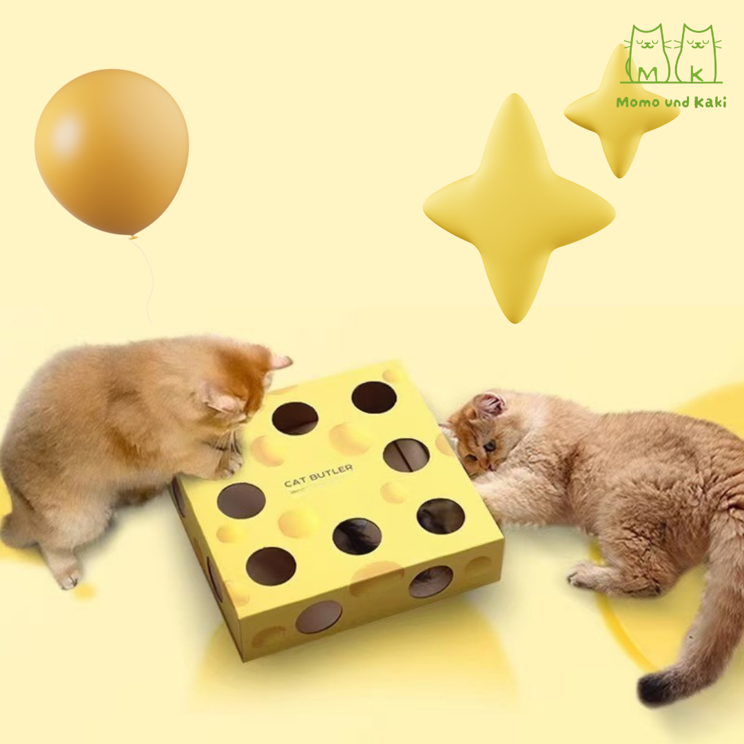 Elektrische Federjagd-Spielbox – Katzenspielzeug mit Löchern, USB-aufladbar