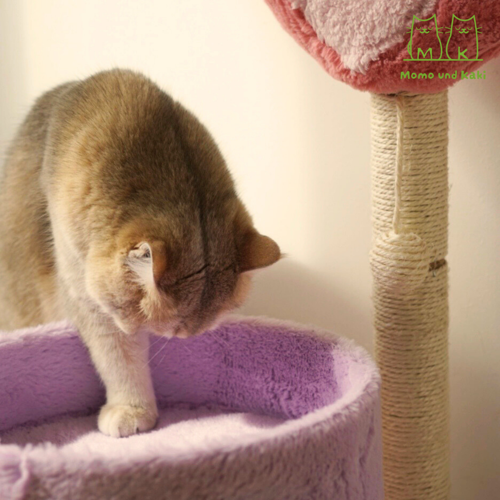 Katzenkratzbaum im niedlichen Design (Herz/Baum/Pfirsich) – Sisal-Säule, Pompom-Spielzeug & offenes Kuschelbett